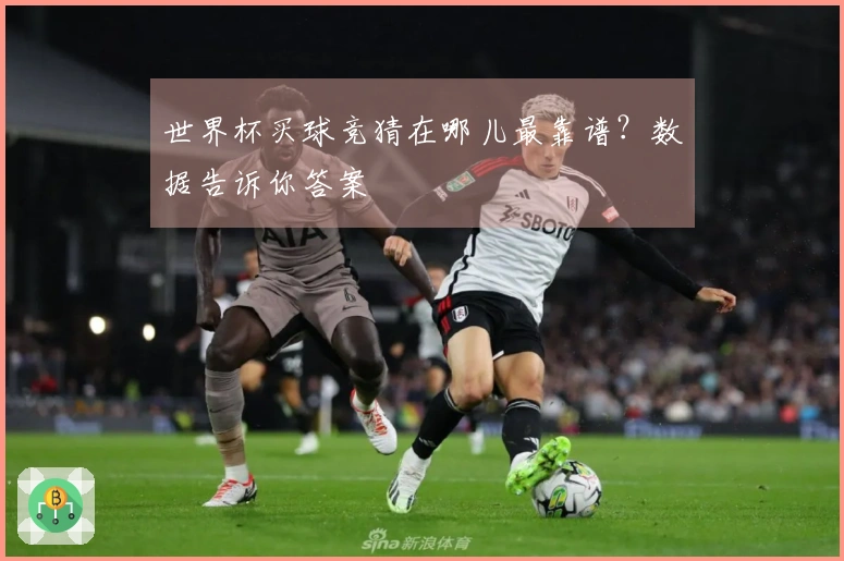 世界杯买球竞猜在哪儿最靠谱？数据告诉你答案