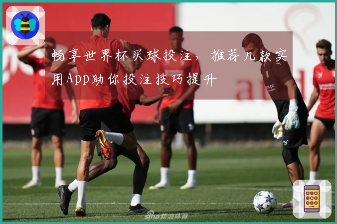 畅享世界杯买球投注，推荐几款实用App助你投注技巧提升