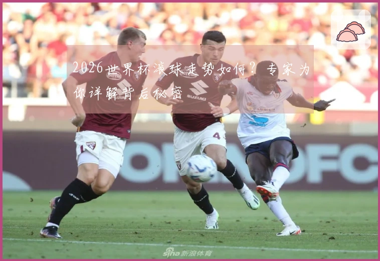 2026世界杯滚球走势如何？专家为你详解背后秘密