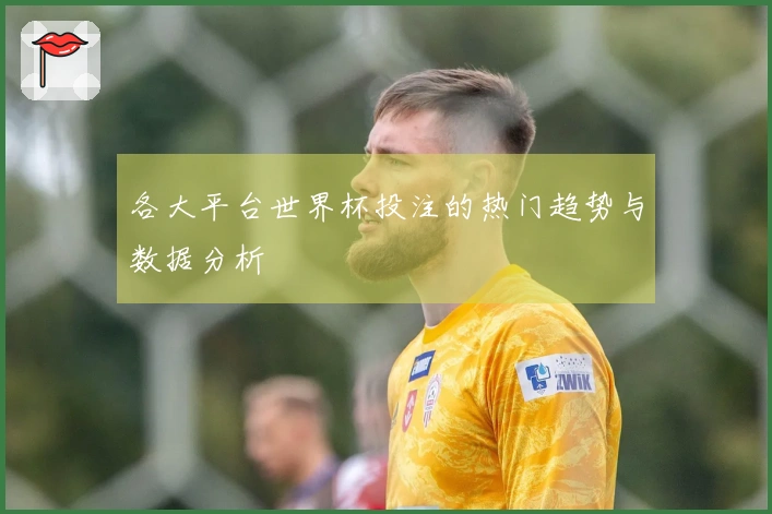 各大平台世界杯投注的热门趋势与数据分析