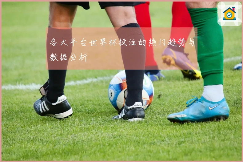 各大平台世界杯投注的热门趋势与数据分析