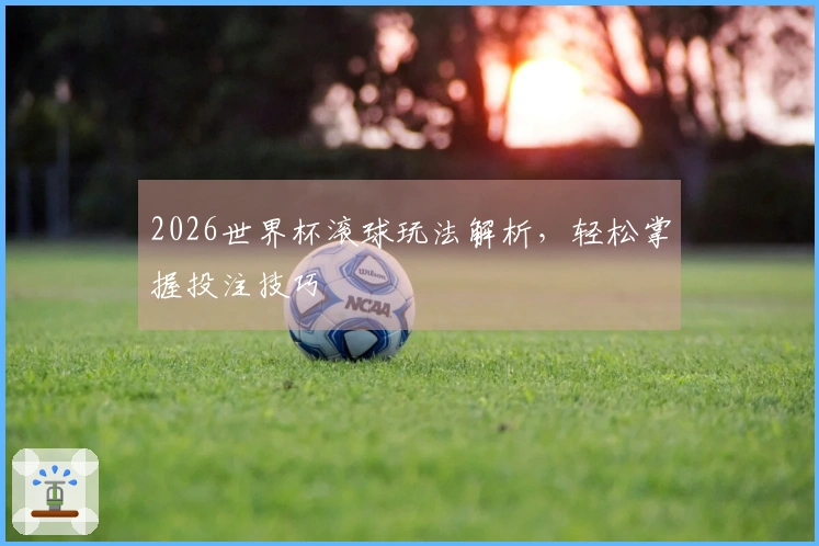 2026世界杯滚球玩法解析，轻松掌握投注技巧