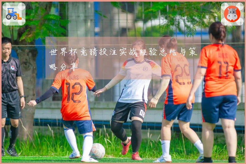 世界杯竞猜投注实战经验总结与策略分享