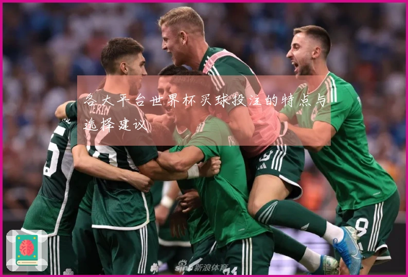 各大平台世界杯买球投注的特点与选择建议